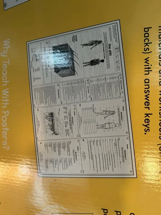 Human Anatomy Posters Set - Yellow - - Picture 12 of 13